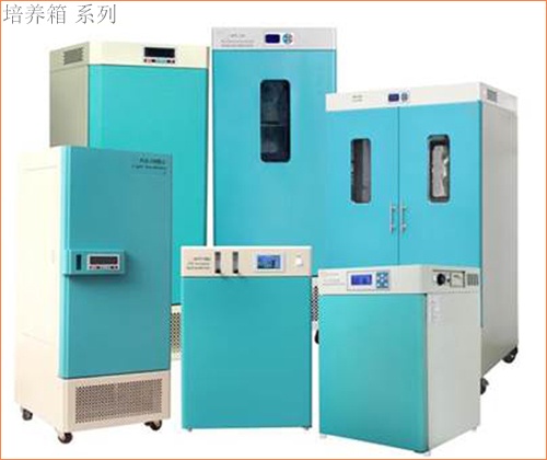 图片3(1).jpg