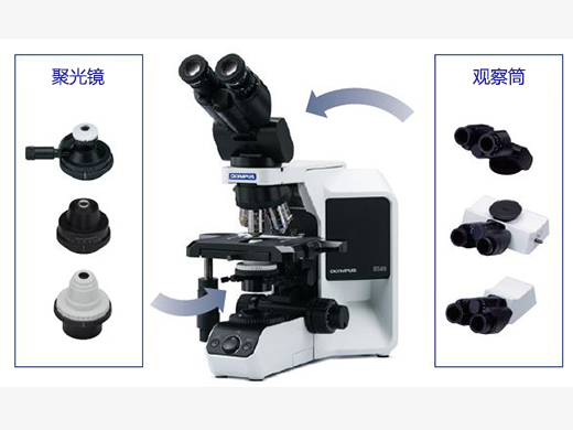 可根据不同的观察类型进行定制.jpg