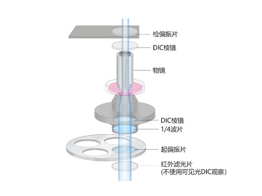 用于成像的Senarmont补偿.jpg