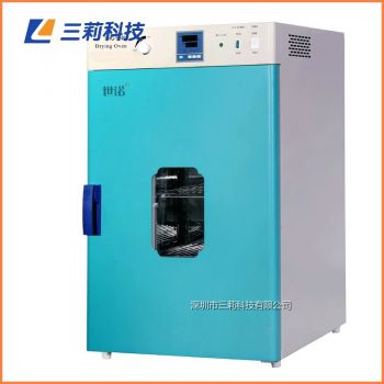 240升250℃恒温烘箱DHG-9240A电热鼓风干燥箱